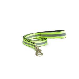 PetWale Dog Leash with Padded Handle | Suited for Walking, Running, Training & More | Reflective Green Nylon | Easy to Clean & Maintain | Durable & Sturdy | L: 5 feet, W: 1 inch