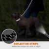 Reflective Rope Dog Leash – Durable, High-Visibility Pet Leash for Safe Walks Grey (Pack of - 1)