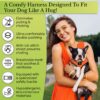 Classic Dog Harness Innovative Mesh No Pull No Choke Design Soft Double Padded Breathable Vest for Eco-Friendly Easy Control Walking Quick Release for Puppies Toy Breeds & Medium Dogs (Med, Purple)
