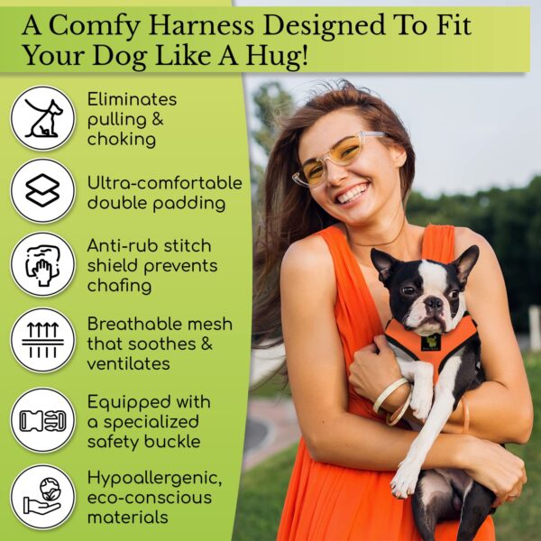 Classic Dog Harness Innovative Mesh No Pull No Choke Design Soft Double Padded Breathable Vest for Eco-Friendly Easy Control Walking Quick Release for Puppies Toy Breeds & Medium Dogs (Med, Purple)