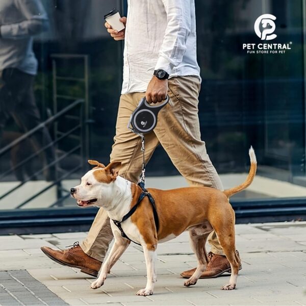 71aORHOumGL._SL1500_.jpg Retractable Dog Leash - 16 Feet Quick-Lock Nylon Tape Dog Chain - 360° Tangle-Free, Anti-Slip Cat & Dog Rope - Small, Medium, Large (Up to 110Lbs/50Kg), Black, 5M