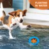 71ahszWudbL._SL1500_.jpg PremiumAV Extreme Chew Tire Dog Toy – Durable Training Aid & Interactive Chew Wheel for Medium & Large Dogs, Tough Bite-Resistant Rubber Toy for Aggressive Chewers
