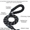 Pull Dog Harness Adjustable Easy Control Medium Large Dog Harness with A Free Heavy Duty 5ft Dog Leash, Dogs Neck Collar with Personalized Dog Name, Highly Reflective Rope Cord Training Leash