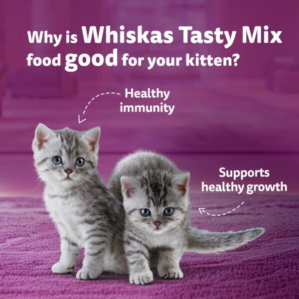 71b-O2Vh3LL._SL1100_.jpg Whiskas Tasty Mix Kitten (2-12 Months) Wet Cat Food, Chicken, Tuna with Sweet Potato in Gravy, 70 g x 14, 100% Complete & Balanced Nutrition for Kittens