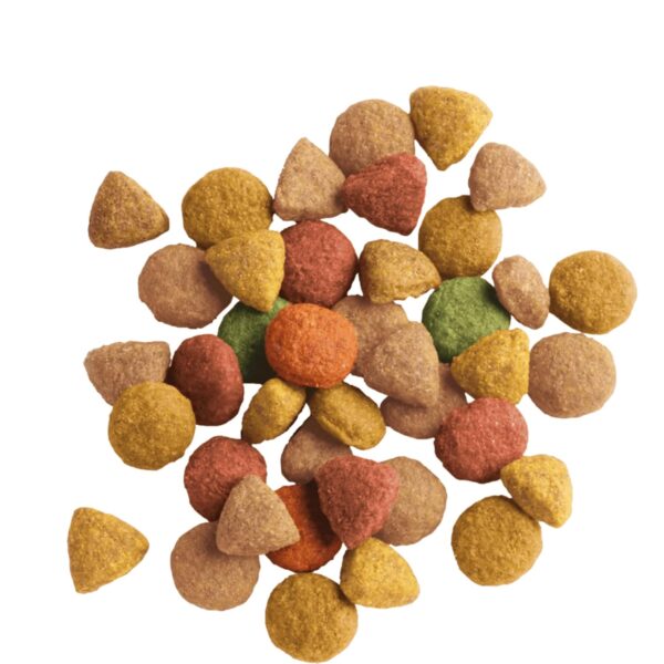 71b6ShbG9YL._SL1500_.jpg Lara Adult with Turkey-Chicken 2 kg