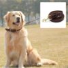 RvPaws Genuine Leather Dog Leash 6 Foot Long 1/2 Inch Wide Dog Training Leash Lead Strong Durable Dog Slip Lead (Length 60 Inch)