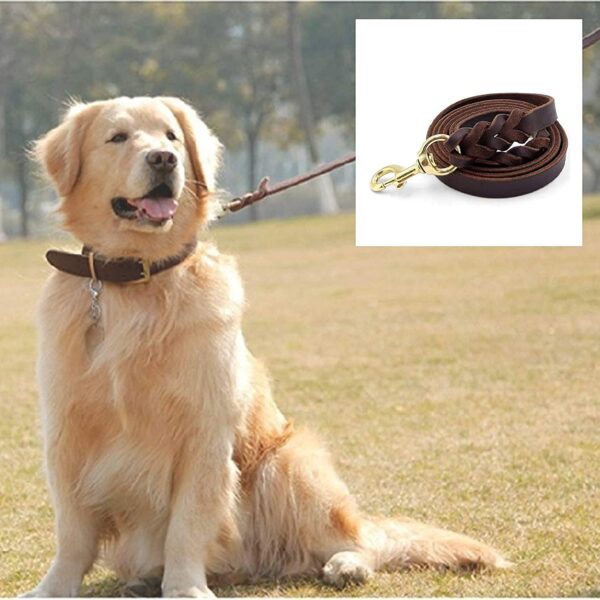 RvPaws Genuine Leather Dog Leash 6 Foot Long 1/2 Inch Wide Dog Training Leash Lead Strong Durable Dog Slip Lead (Length 60 Inch)