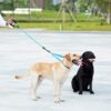 71bMdUemJ3L._SL1500_.jpg 2022 Newest Nylon Tactial 6 ft Anti Pull Traffic Control Padded Double Dog Lead Bungee Training Double Head Dog Leash for Two Small and Medium Dogs