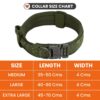 WOOFLIX Metal Dog Collar For Training & Walks|Nylon Collar With Tactical Metal Buckle & D-Ring For Medium & Large Dogs|Dog Collar For Medium & Large Dogs (Extra Large, Army Green) - 25 X 5 Cm