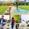 71bWnyBeCJL._SL1500_.jpg Smart Pet Leash Automatic with Padded Feature and Feather Decoration for Dogs Dog Traction Rope Chain Automatic Retractable Dog Walking Rope Pet Leashes Retractable Pet Leash (3M-15Kg)