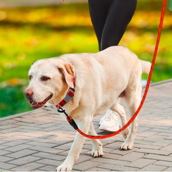 Reflective Adjustable Pet Leash for Dogs| Durable and Comfortable| Strong Nylon with Padded Handle| Straps Dogs Perfect for Harness and Neck Collar Belts ((D-Shape) 1/5 inch x 4 feet, Red)