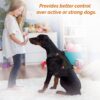 Tactical Dog Harness with Leash | Dog Training Belt | Adjustable Size for Giant Dogs | Recommended for 40-90 Kg Pet (Black, XL)