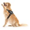 71btr4AVzdL._SL1500_.jpg 24x7 eMall Dog K9 Police Dog Harness Vest with Hook and Loop Straps and Handle and Adjustable (XL- 28-38 Inch Girth, Black),210 gram