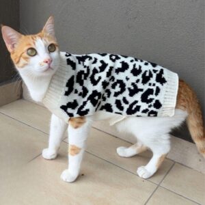 Lulala Turtleneck Winter Sweater for Small Dogs – Warm Knitwear for Boys & Girls | Soft Pet Clothes with Leash Hole | Cozy Autumn/Winter Dog Apparel