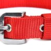 RvPaws Dog Belt Combo of 1 Inch Nylon Collar with Heavy Dog Chain 63 Inch Lengthy Dog Collar Chain (Red)
