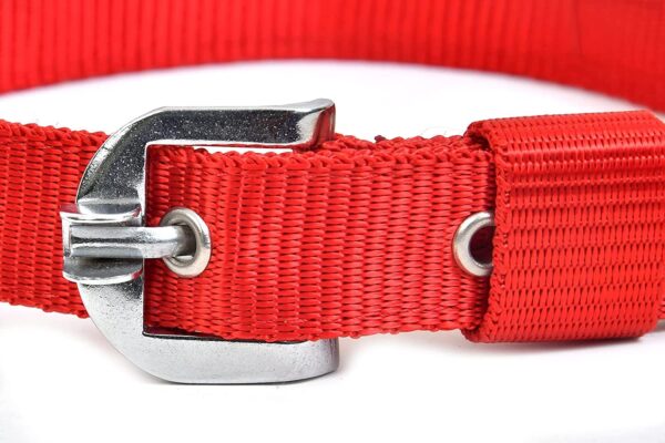 RvPaws Dog Belt Combo of 1 Inch Nylon Collar with Heavy Dog Chain 63 Inch Lengthy Dog Collar Chain (Red)