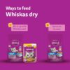 71c-phU5DaL._SL1500_.jpg Whiskas Adult (1+ Years) Dry Cat Food, Ocean Fish Flavour, 7 kg, Contains 41 Essential Nutrients, Complete & Balanced Nutrition for Adult Cats