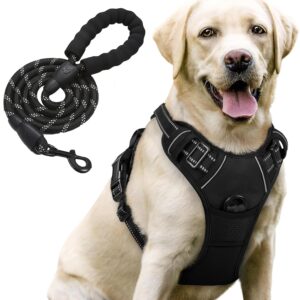Lyrovo Adjustable No-Pull Dog Harness with Leash Set for Small, Lyrovo Adjustable No-Pull Dog Harness with Leash Set for Small, Medium & Large Dogs – Reflective, Breathable, Comfortable Vest Harness for Training & Walking (Black, L (23-35Kg))