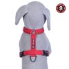 71cJ35VdCeS._SL1000_.jpg Pets Like Poly Body Belt, Red (Medium)