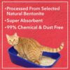 Drools Bentonite Cat Litter (For multiple cats) , Lavender Flavor 5 kg Pack