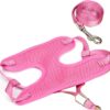 Woofy Puppy Harness and Leash Set No Pulling Plaid Walking Harness Adjustable Mesh Dog Harness with Bow Pet Comfort Padded Vest for Small Dogs and Cats (Size- Small) (Fit Weight 1-5 kg) - Multicolor