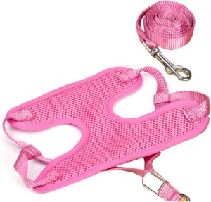 Woofy Puppy Harness and Leash Set No Pulling Plaid Walking Woofy Puppy Harness and Leash Set No Pulling Plaid Walking Harness Adjustable Mesh Dog Harness with Bow Pet Comfort Padded Vest for Small Dogs and Cats (Size- Small) (Fit Weight 1-5 kg) - Multicolor