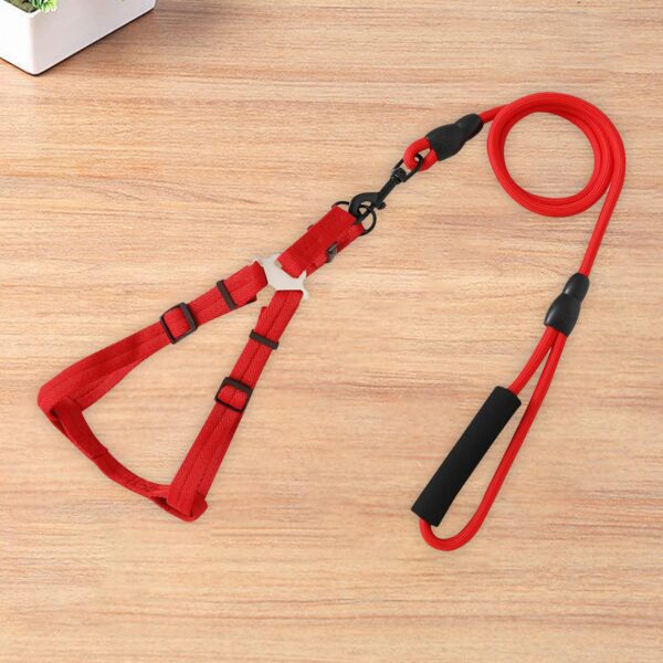 71cUflMgIML._SL1500_.jpg Kuber Industries Dog Harness and Leash Set, Red