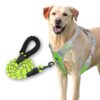 HANK Dog Harness Leash Set - Soft Comfortable Handle - HANK Dog Harness Leash Set - Soft Comfortable Handle - Dog Vest for Small Breed - No Pull Harness - Dog Vest for Training - Walking (Neon - Grey - S (Harness + Leash)