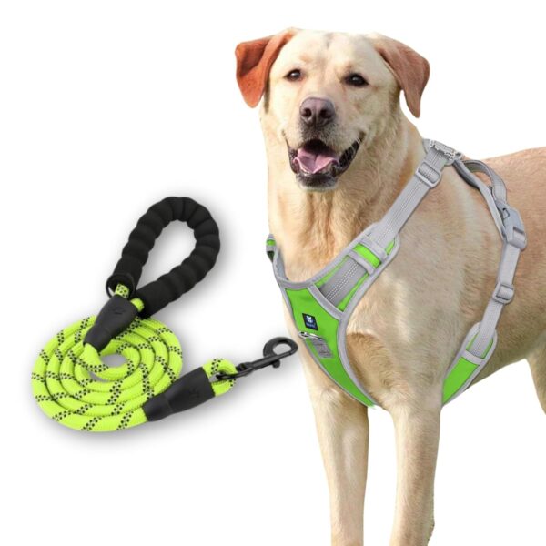 HANK Dog Harness Leash Set - Soft Comfortable Handle - HANK Dog Harness Leash Set - Soft Comfortable Handle - Dog Vest for Small Breed - No Pull Harness - Dog Vest for Training - Walking (Neon - Grey - S (Harness + Leash)