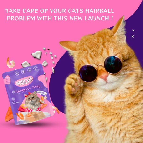 PETS EMPIRE Moochie Cat Pate with Prawn (85g X 6) Tasty Wet Cat Food, No Artificial Flavours Cats Food with Prawn & Taurines, Non-Vegetarian Cat Foods Pouch for Adult Cats