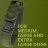 WOOFLIX Metal Dog Collar For Training & Walks|Nylon Collar With Tactical Metal Buckle & D-Ring For Medium & Large Dogs|Dog Collar For Medium & Large Dogs (Extra Large, Army Green) - 25 X 5 Cm