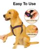 Dog Harness No Pull with Front Clip | Dog Walking Chest Harness with Reflective Adjustable Soft Padded Vest and Easy Control Handle Sizes (Medium, Purple)