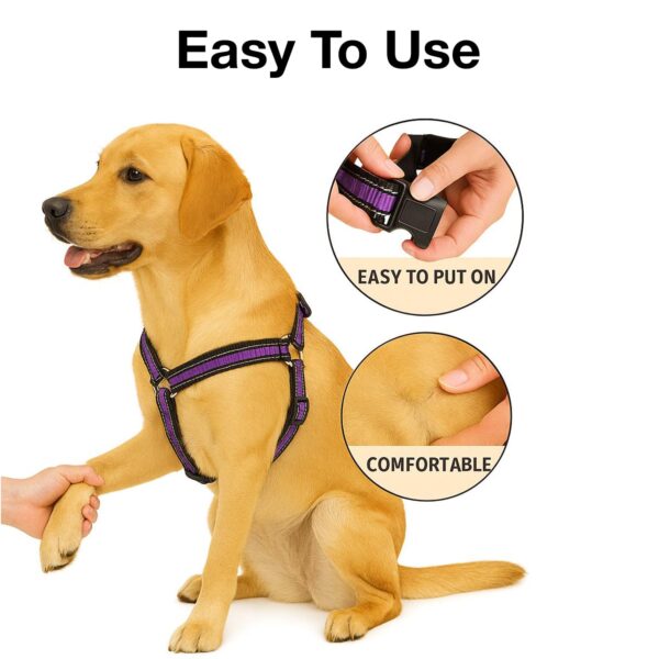 Dog Harness No Pull with Front Clip | Dog Walking Chest Harness with Reflective Adjustable Soft Padded Vest and Easy Control Handle Sizes (Medium, Purple)