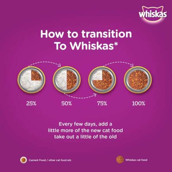 Whiskas Junior Mother Cat & Kitten (2-12 Months) Dry Cat Food, Ocean Fish Flavour, 450 g, Contains 41 Essential Nutrients, Complete & Balanced Nutrition for Mother Cats & Kittens (Pack of 2)