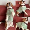 Lulala Turtleneck Dog Sweater - Winter Coat Apparel Classic Cable Knit Clothes with Leash Hole for Cold Weather, Ideal Gift for Pet (Green, 8 Inch)