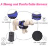 Lulala Service Dog Harness, Large Medium Small Dog No-Pull Reflective Vest,Breathable Adjustable Pet Harness with Piastic Handle for Outdoor Walking -with On Off Locker(Blue L)