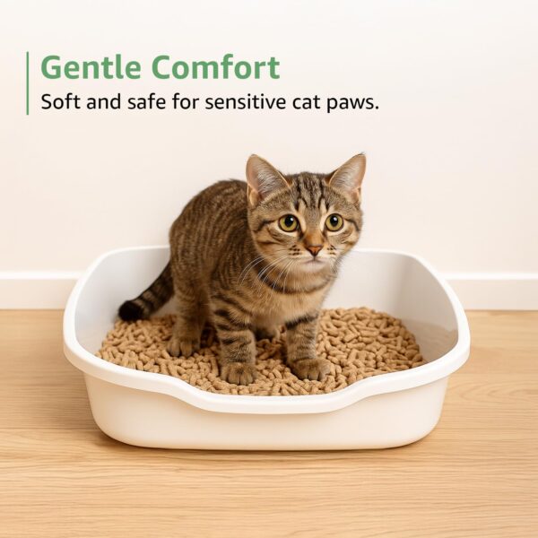 Amazon Basics Premium Pine Wood Cat Litter | 5 Kg | Unscented | 100% Natural | Biodegradable | Fast Absorption | Low Dust | Odor Control