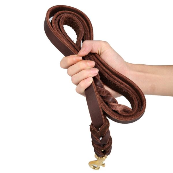 RvPaws Genuine Leather Dog Leash 6 Foot Long 1/2 Inch Wide Dog Training Leash Lead Strong Durable Dog Slip Lead (Length 60 Inch)