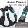 BOLTZ Extra Large Dog Harness with Night Reflective Strips, Double Chest Support, Adjustable Straps, Mesh Padding for Comfort, Secure Fit for XL Breeds, Chest Size Upto 50 Inch, 10M Visibility