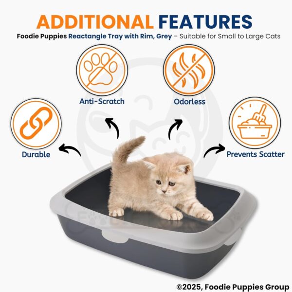 Foodie Puppies Rectangle Cat Litter Tray (Small (Grey) - 49 x 38 x 15 cm) with Rim, Reduces Odor, Perfect Starter for Toilet Training Your Kitten and Puppies
