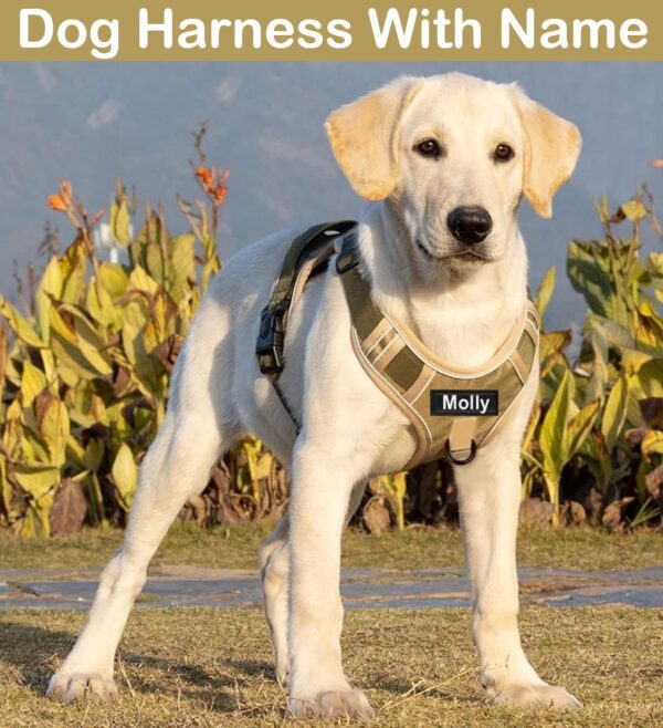 Dog Harness with Name id Customized for Dogs Large Medium Small Puppy All Breeds No Pull Harness Reflective Vest Harness Belt Adjustable Personalized with Dog Name (Beige) (Large Dogs)