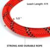 Reflective Adjustable Pet Leash for Dogs| Durable and Comfortable| Strong Nylon with Padded Handle| Straps Dogs Perfect for Harness and Neck Collar Belts ((D-Shape) 1/5 inch x 4 feet, Red)