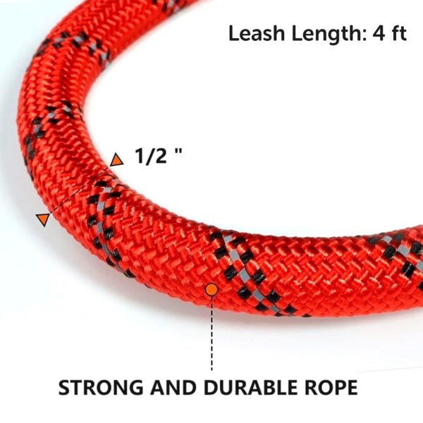 Reflective Adjustable Pet Leash for Dogs| Durable and Comfortable| Strong Nylon with Padded Handle| Straps Dogs Perfect for Harness and Neck Collar Belts ((D-Shape) 1/5 inch x 4 feet, Red)