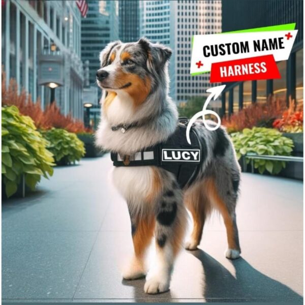 71fQKs6IpmL._SL1500_.jpg SUBAKA Customized Dog Harness with Personalized Pet Name Patches | No-Pull Camouflage Dog Vest | Reflective Straps | Adjustable Fit | Matching Leash Included (Printed Black, Medium (13-20 kgs))