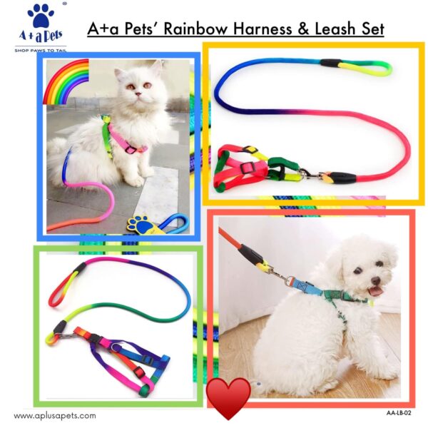 71fkC1vq5PL._SL1500_.jpg A+a Pets' Harness and Leash Set, Colourful Combo in Rainbow for Cats and Dogs (XS, Rainbow)