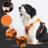 Sunkizzrs® Dog Harness with Retractable Leash, Adjustable Dog Chest Belt with Reflective Strip (Orange, Medium)