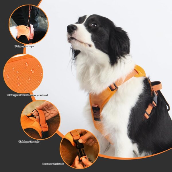 Sunkizzrs® Dog Harness with Retractable Leash, Adjustable Dog Chest Belt with Reflective Strip (Orange, Medium)