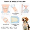 Pastel Dog Harness and Leash Set for Dogs and Cats | Adjustable No-Pull, No-Choke Soft Padded Pet Vest with Matching Leash | Comfortable, Cute and Stylish Walking Harness (Blue)