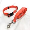 Neoprene Dog Collar with Leash Set – Durable & Adjustable Pet Collar for Large Dogs Orange (Set of 2-1 Collar & 1 Leash)