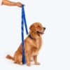 HUFT Basics Dog Leash - Cobalt Blue - S